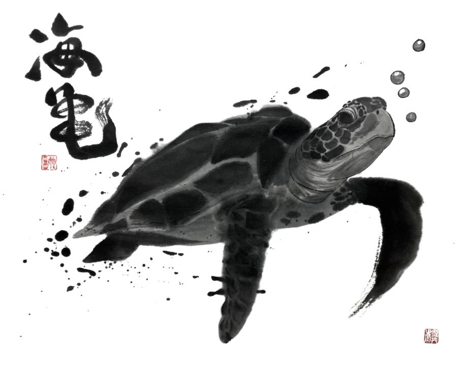 🐢𓈒 𓂂𓏸ウミガメ #水墨画