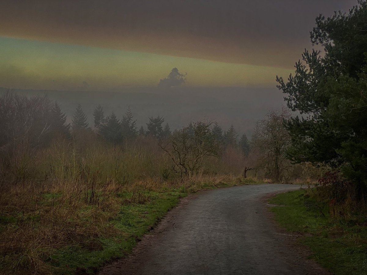 NOT QUITE LIGHT - NQL tweet media