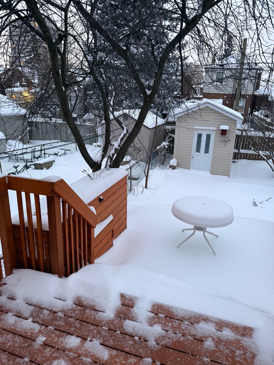 Rosemary Tomlinson-M tweet media