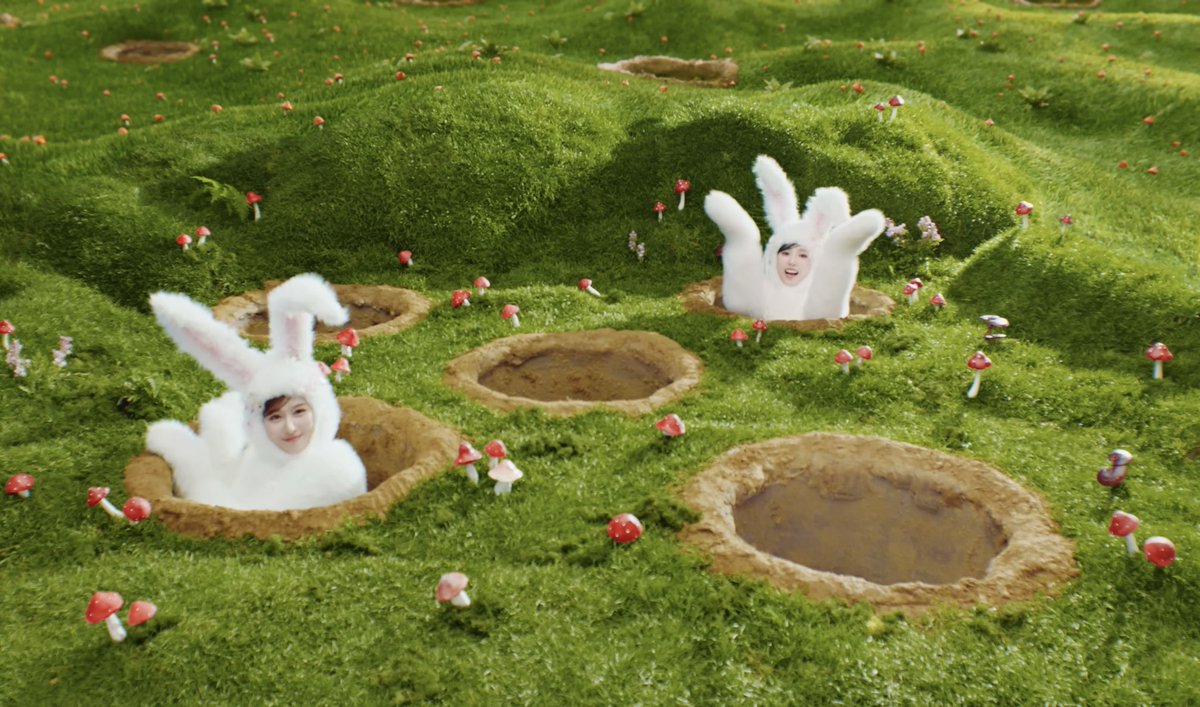 ミヤ미채 tweet media