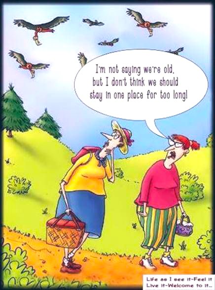 jaguarjin's tweet image. #ImNotGettingOldImGetting more attuned to the balance 
of nature …