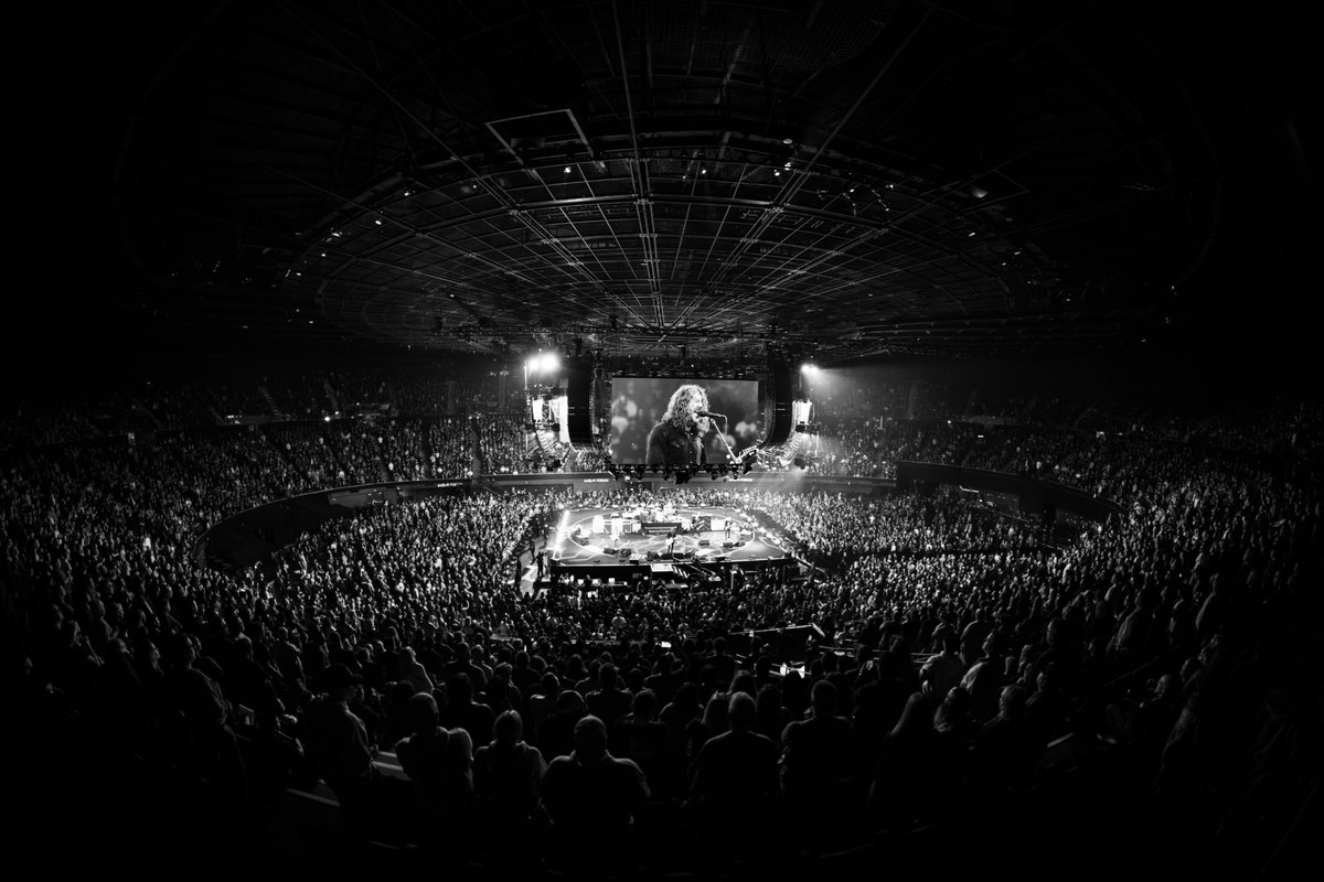 Foo Fighters tweet media