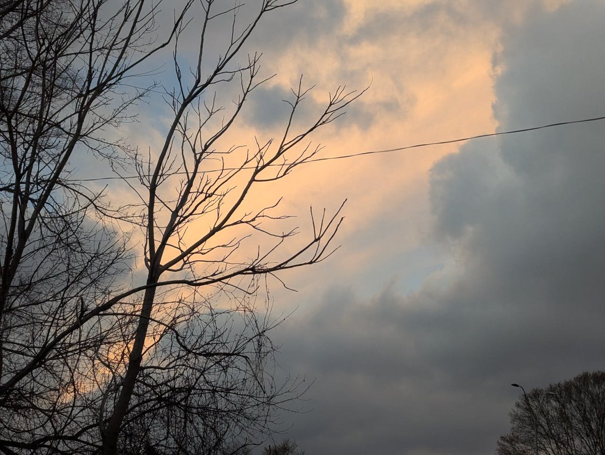 UnderFact_'s tweet image. Timeline purge because of the perennial freakshow incident our friend group seems to experience