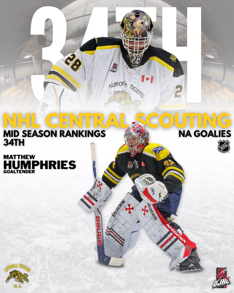 Serpa Automotive Aurora Tigers tweet media