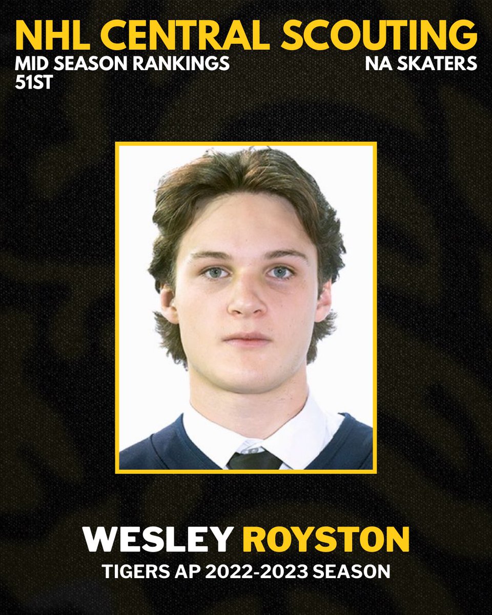 Serpa Automotive Aurora Tigers tweet media