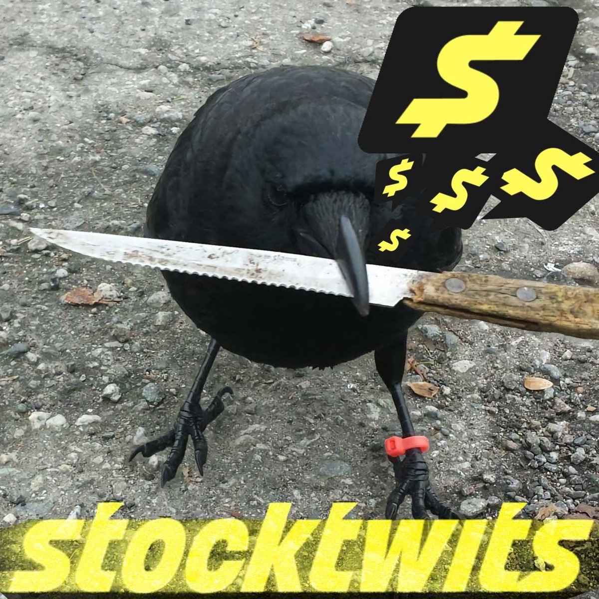 Cryptokeeper999 tweet media