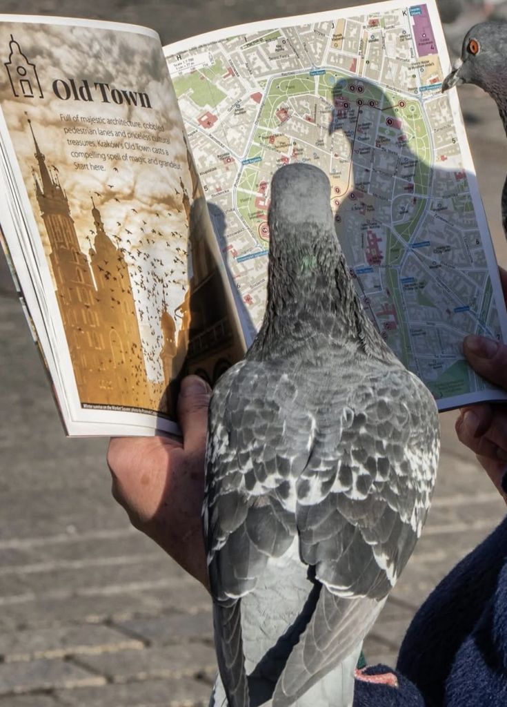 thtrainwreck's tweet image. 