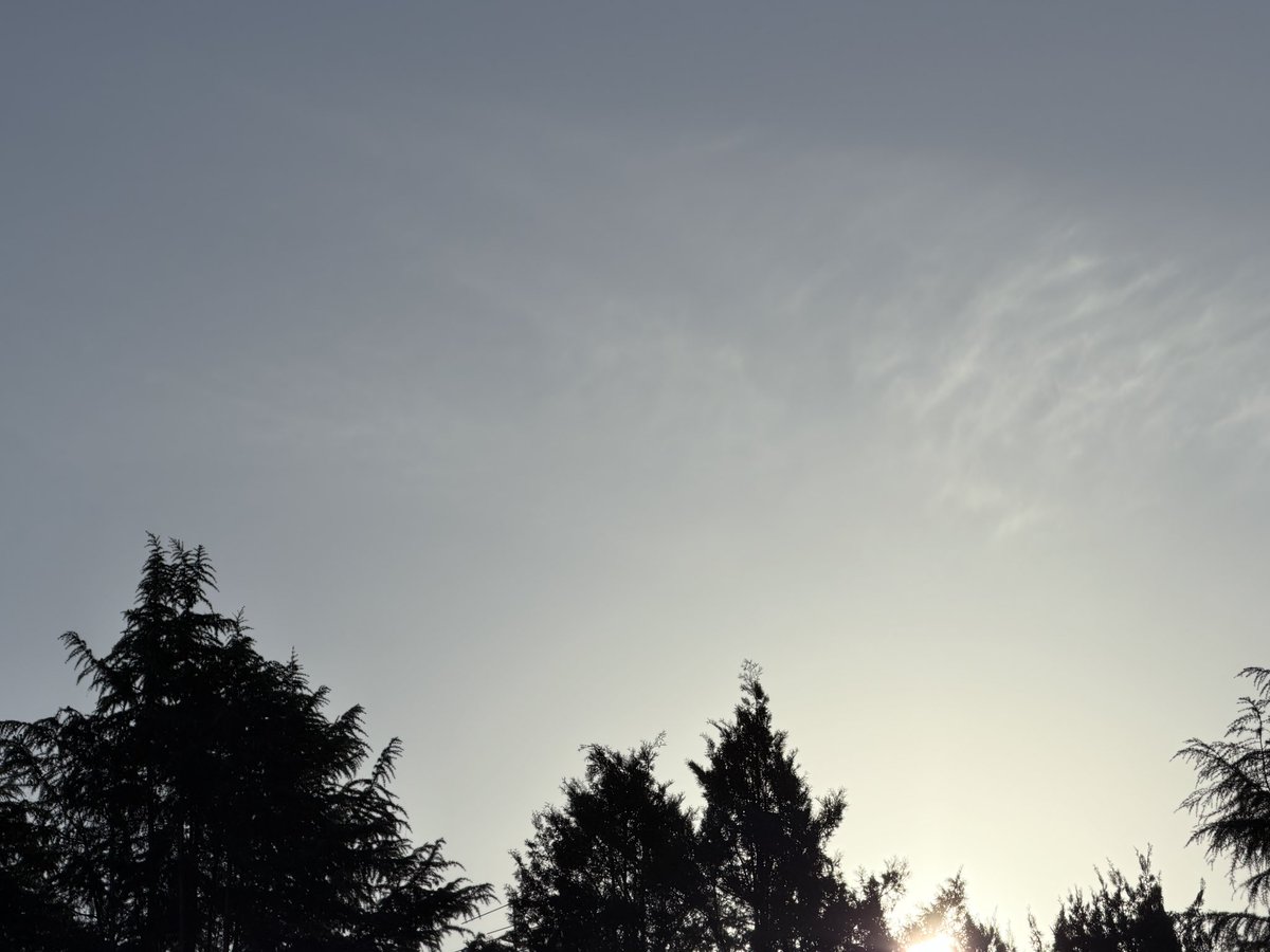 sato_thinking's tweet image. 考えることは、本質に導く行為だ。

考えることで理解が深まり、自分の世界が広がっていく。そのプロセスそのものが、充実感や喜びを生み出してくれる。

おはようございます。
今日も良い一日をお過ごしください！