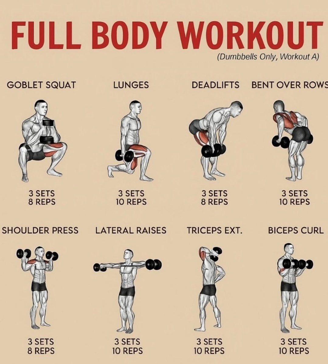 Fitness Guide tweet media