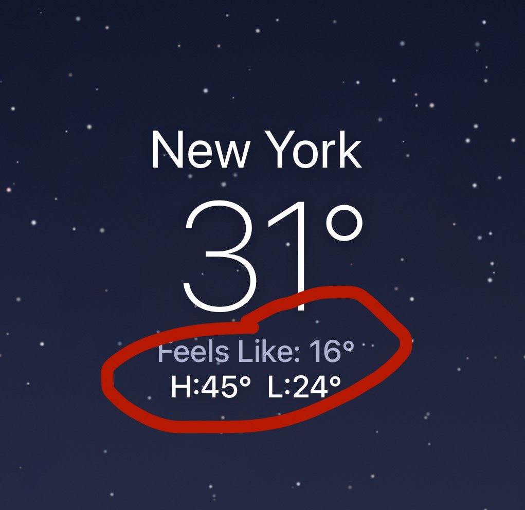 StripMallGuy tweet media