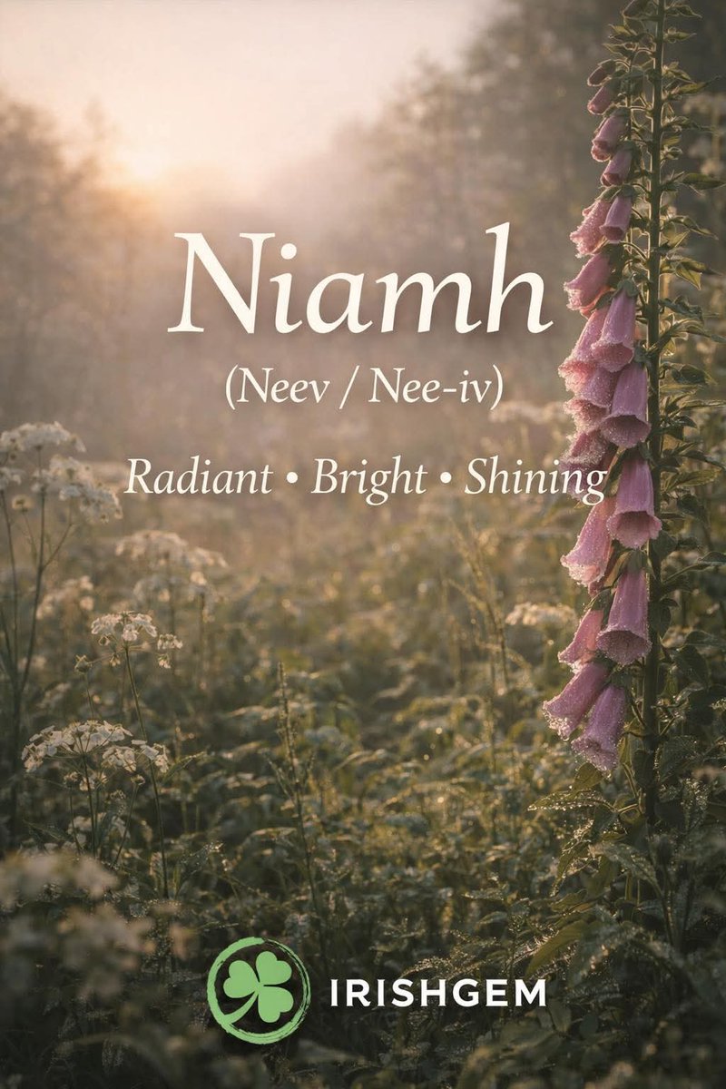 ThisIsIreland3's tweet image. 🌿Irish Girls’ Names &amp;amp; Their Meanings
🇮🇪 Niamh-Pronounced: Neev

Niamh is a traditional Irish name meaning bright, radiant, or shining.
In Irish mythology, Niamh of the Golden Hair was a princess from Tír na nÓg, the land of eternal youth 💚

#IrishNames #Ireland #Irish #Niamh