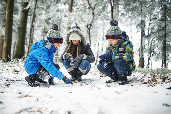 Winter is a great time for outdoor activity with the family. Spending time outside has a positive impact on our brains, and can boost both our mental well-being and physical health.