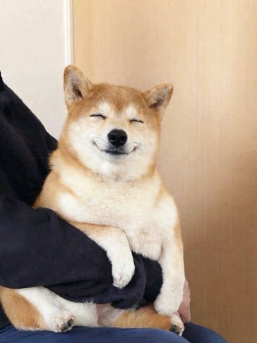 よつば🍀 (@41greengreen) / Posts / X