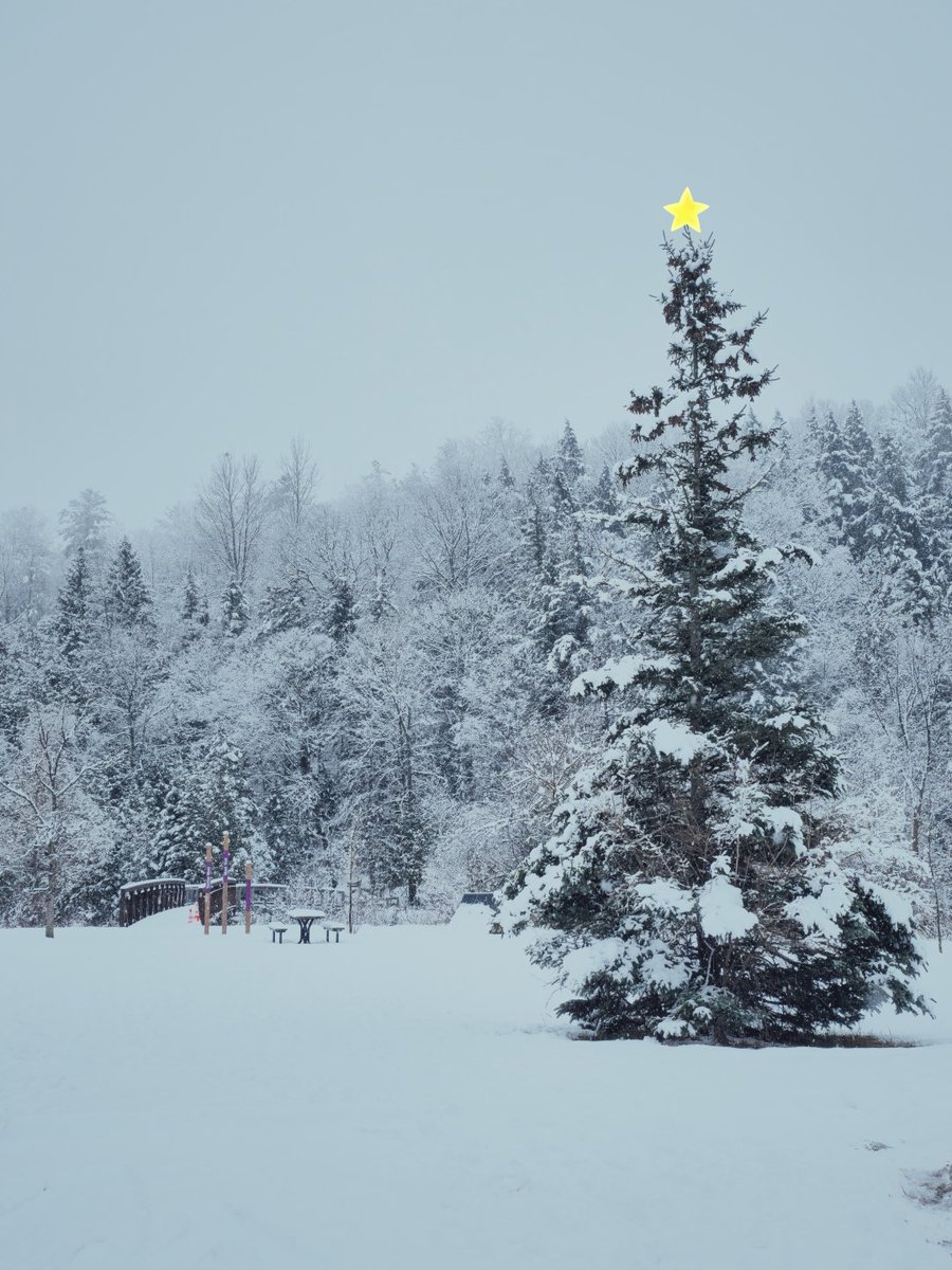 jayceee04's tweet image. That moment when nature decorates for the holidays! 🎄🌟 #WinterWonderland