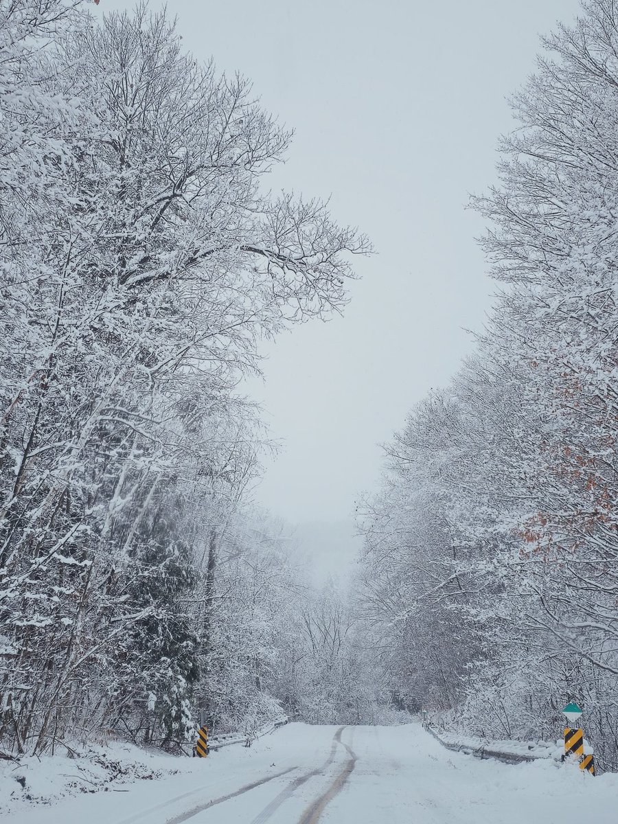 jayceee04's tweet image. That moment when nature decorates for the holidays! 🎄🌟 #WinterWonderland