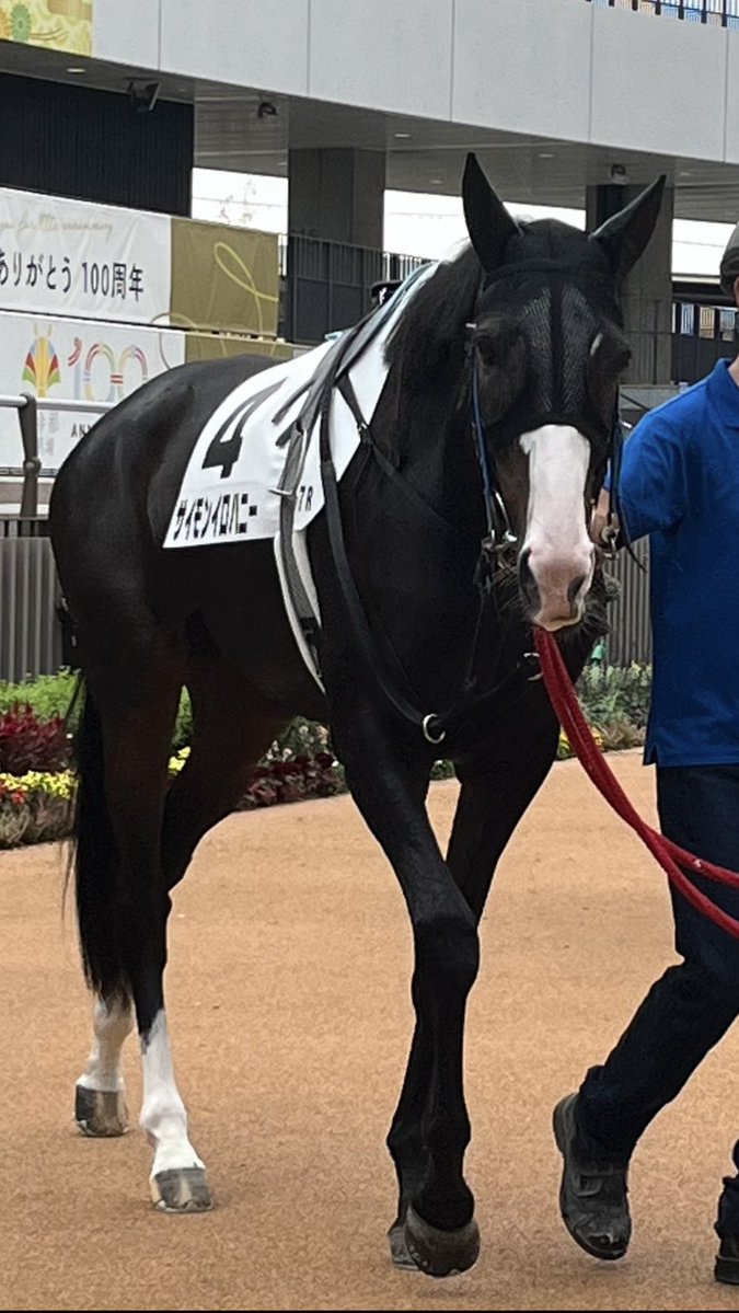 さくら　エアロペガサス　コメント欄必ずご覧ください。 楽天市場】サイドステップ【未塗装品・塗装済み品】日産サクラ 2022年6