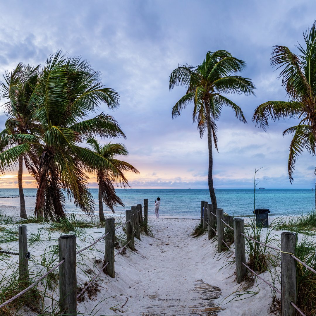 PartyInKeyWest's tweet image. January beach walks &amp;gt; walks in the city anywhere else. #keywest #beach #seeninkeywest

More: PartyinKeyWest.com/wp/
Follow us: @PartyInKeyWest
Hashtag us: #PartyInKeyWest