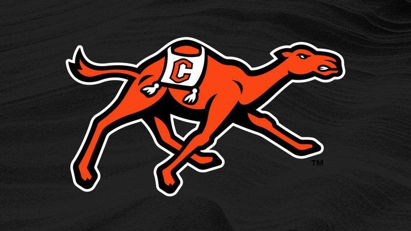 OmariGraham58's tweet photo. After a great conversation with @CoachHornor, I am blessed to announce my first D1 scholarship offer from @GoCamelsFB!! 
@Coach_Lowman @CoachWhitt72 @weststokesfb https://t.co/elUNUv9j8j
