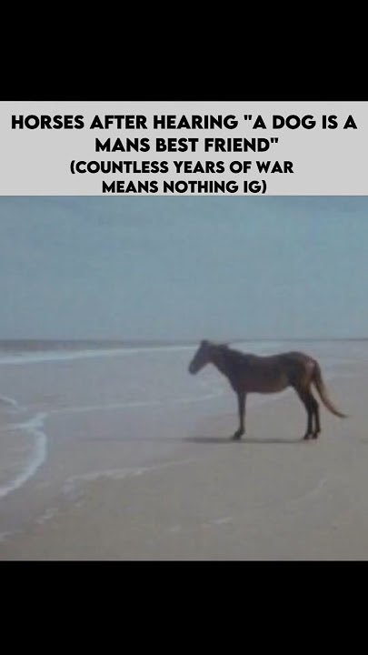 Joe Camel tweet media