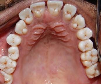 DentaGama tweet media