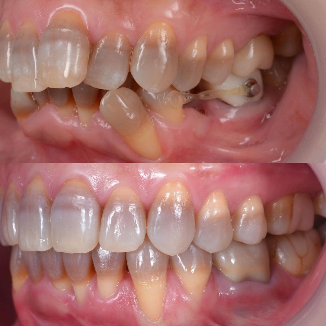 DentaGama tweet media