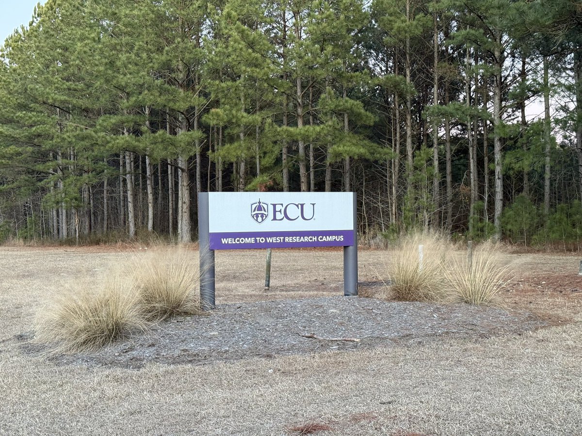 #PackTheJungle🏴‍☠️ tweet media