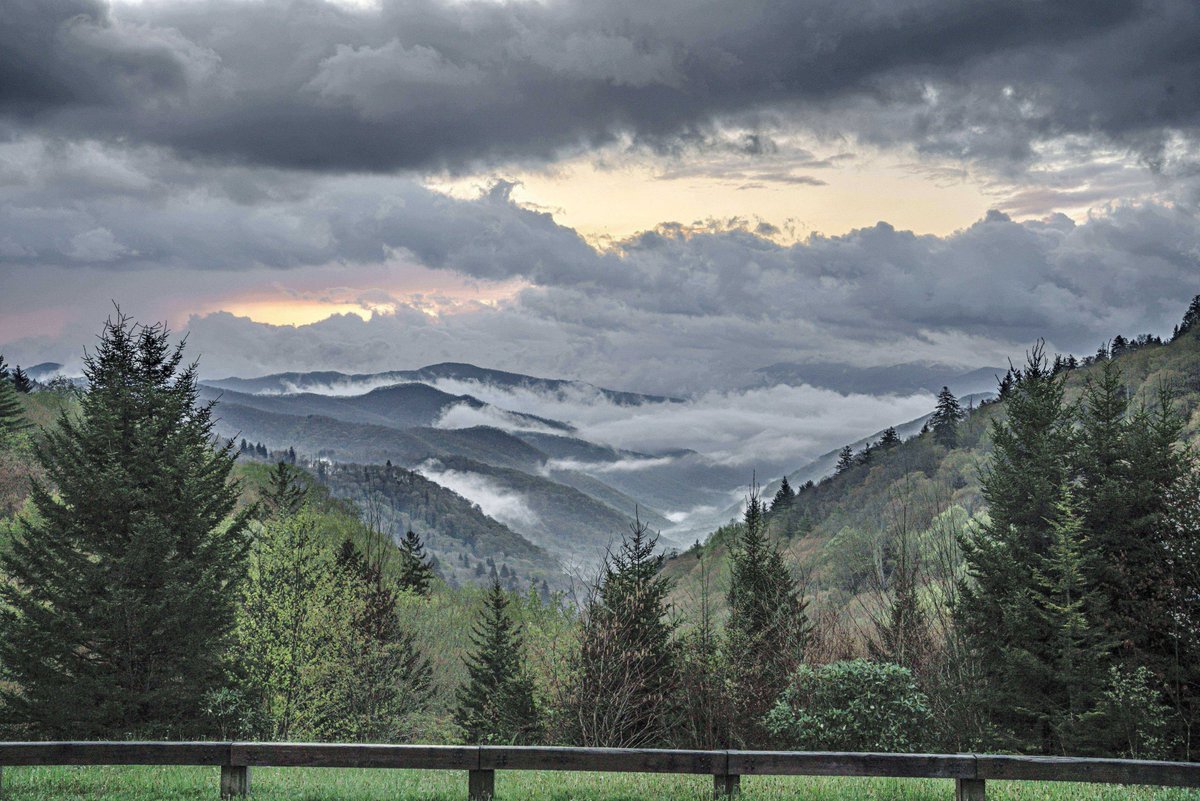 VisitBrysonCity's tweet photo. Spring is a season best enjoyed with more than just a quick visit to the Great Smoky Mountains National Park. https://t.co/hfWuMhZkes
#SpringInTheSmokies #GreatSmokyMountains #BrysonCity #WildflowerSeason #WaterfallHikes https://t.co/8Hwv55Slfk