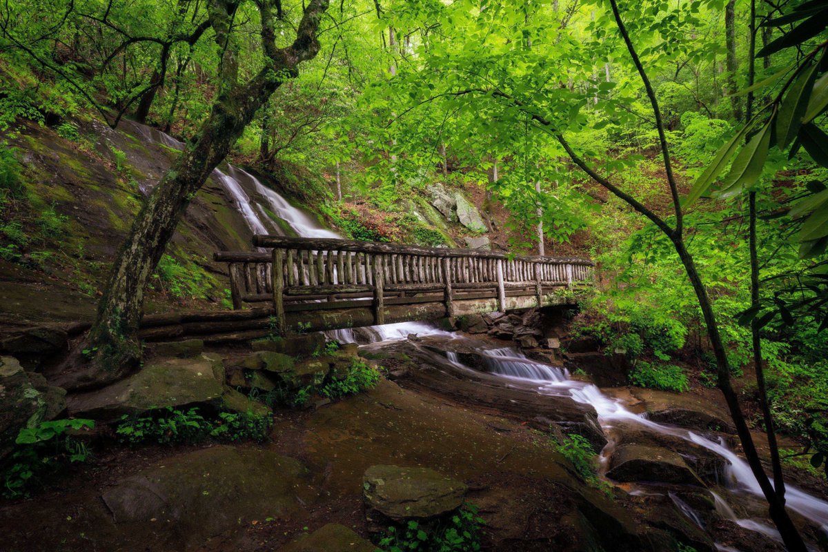 VisitBrysonCity's tweet photo. Spring is a season best enjoyed with more than just a quick visit to the Great Smoky Mountains National Park. https://t.co/hfWuMhZkes
#SpringInTheSmokies #GreatSmokyMountains #BrysonCity #WildflowerSeason #WaterfallHikes https://t.co/8Hwv55Slfk