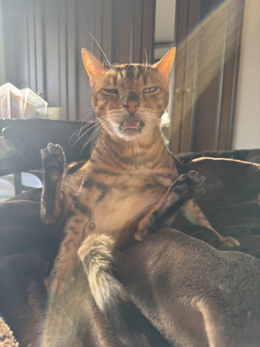 色々と情報量が多い…wwwww