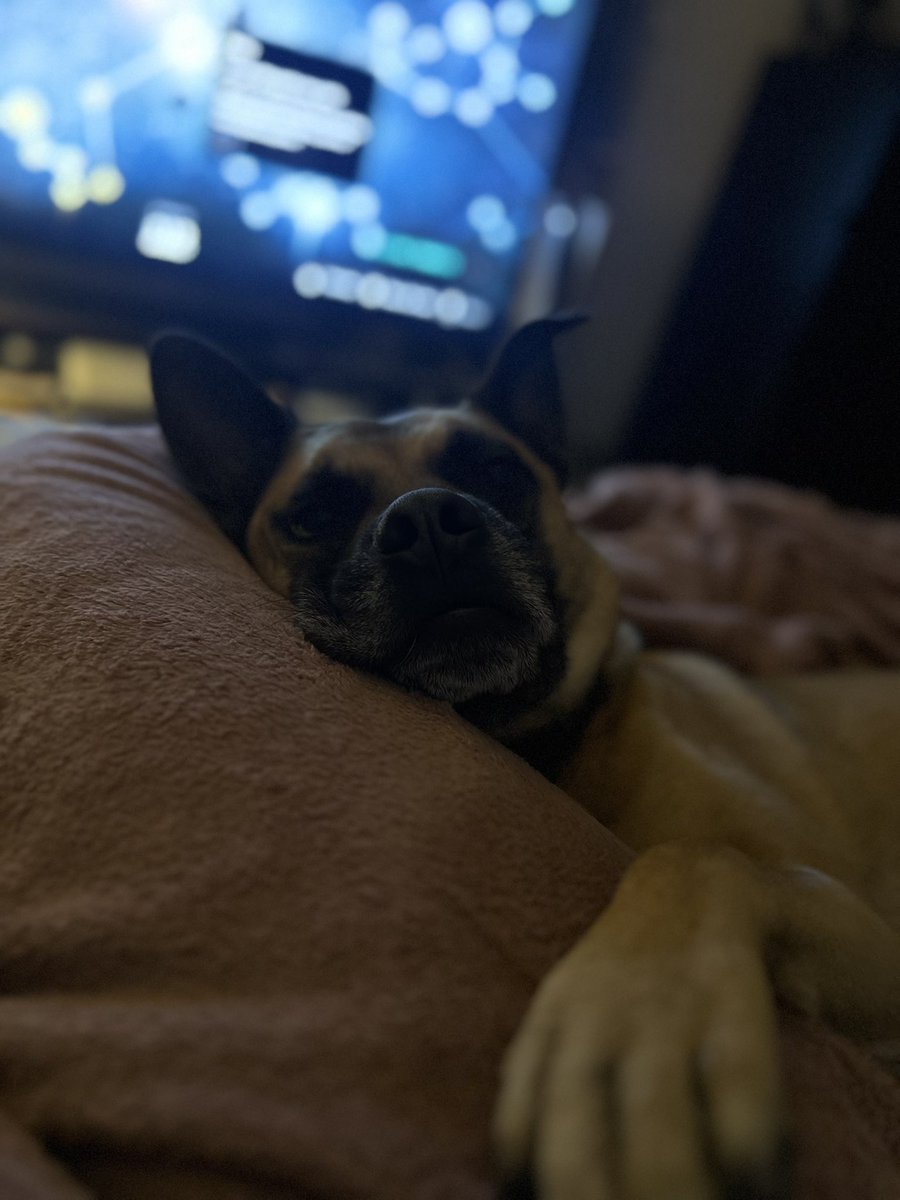 Lazy evening tonight