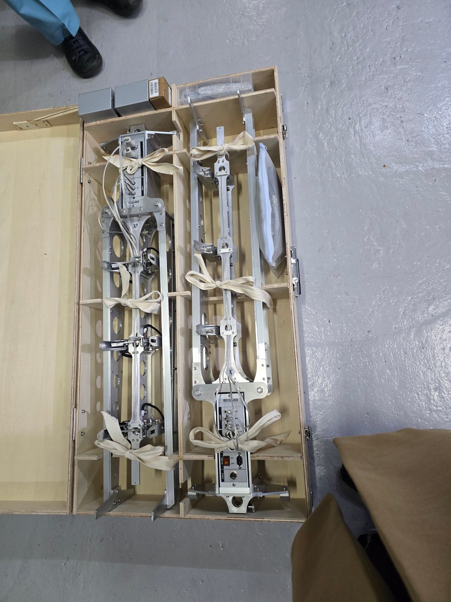 Susumu Hirasawa (@hirasawa) / Posts and Replies / X