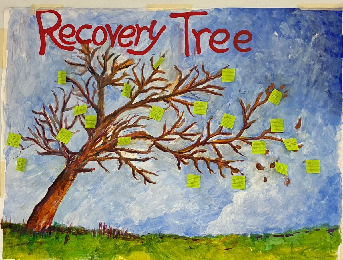 fionnuala killoury tweet media