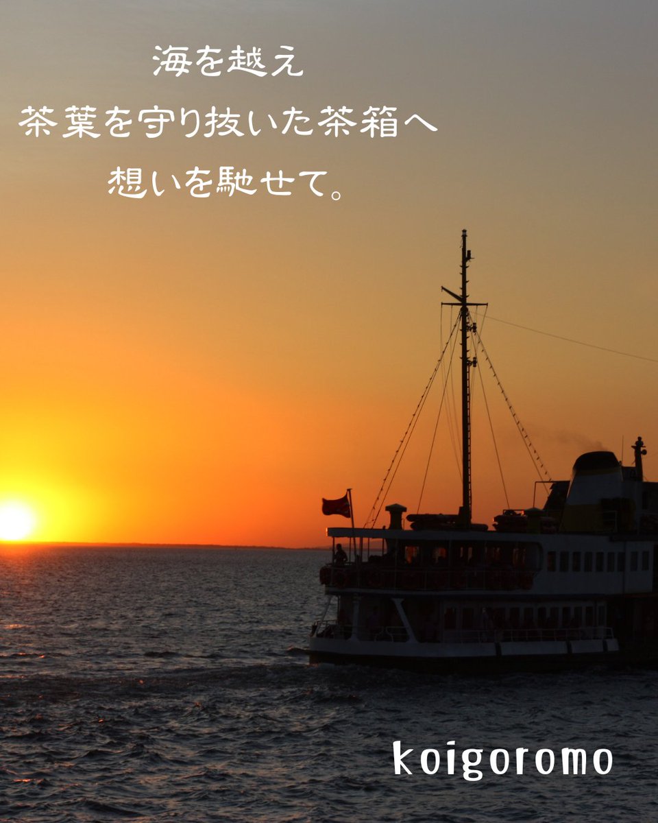 こひごろもkoigoromo tweet media