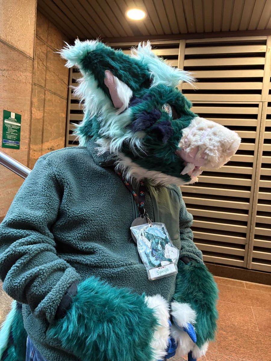 Bernulfwolf's tweet image. Where be furries ?