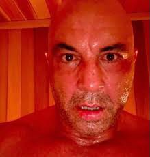 Fliptrip 🦊💸 tweet media