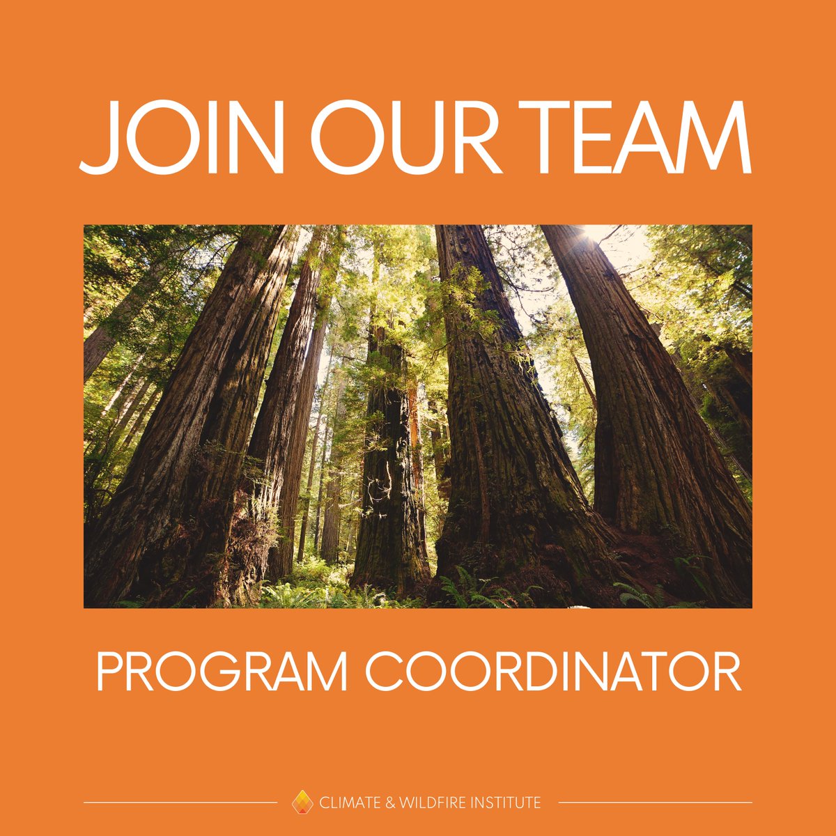 Climate & Wildfire Institute tweet media