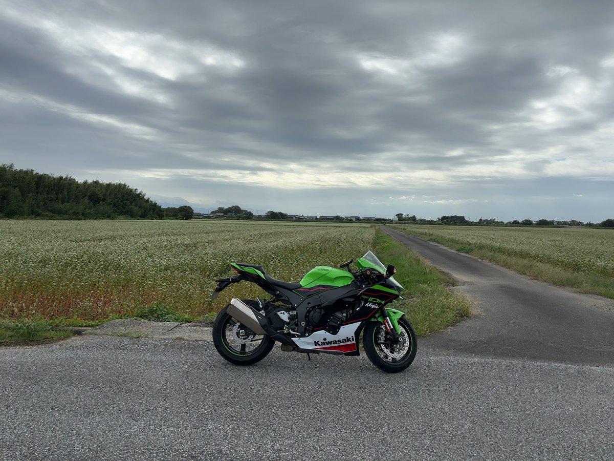 おはようございます。 やっときました金曜日😆 今日も一日ご安全に🐨