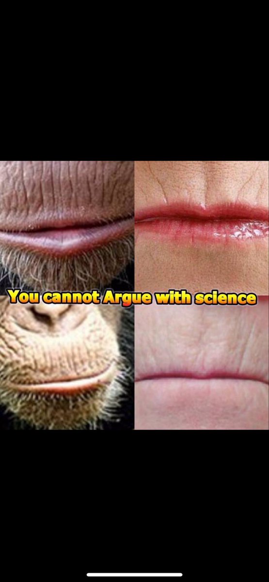 thatboyjay tweet media