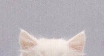 leeknowarchive's tweet image. ⦮ ⦯