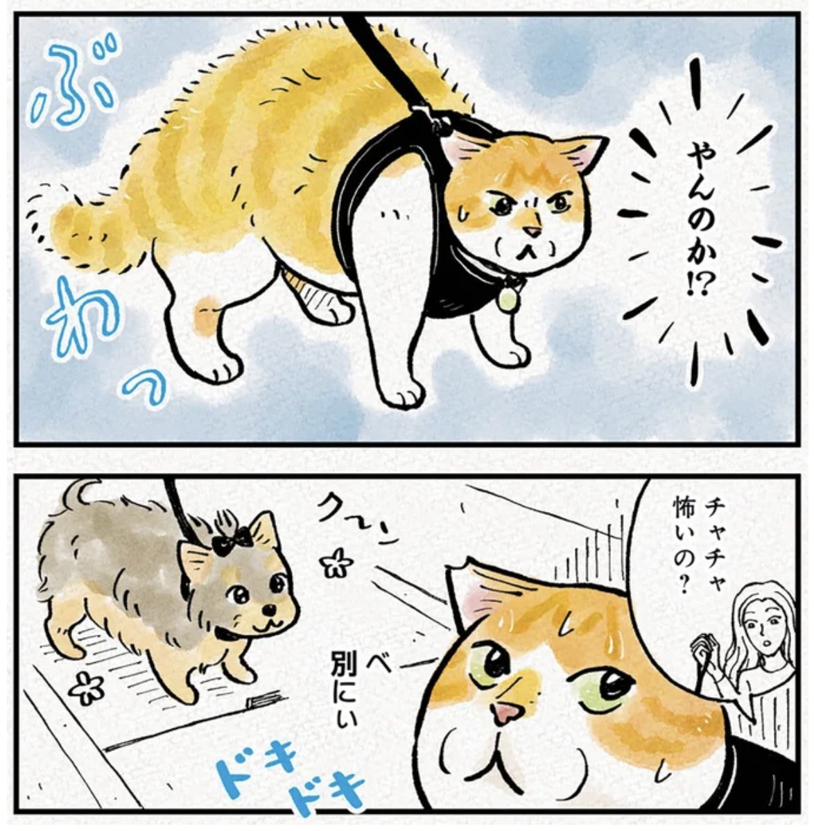 【ネコソラページ】 猫野ソラ (@nekonosora28) / Posts / X