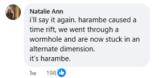 HimQuant's tweet image. facebook moms literally talk about how harambe caused an entire time rift, essentially shifting meme culture forever

Look at this comment that got 200 likes

and this one as well