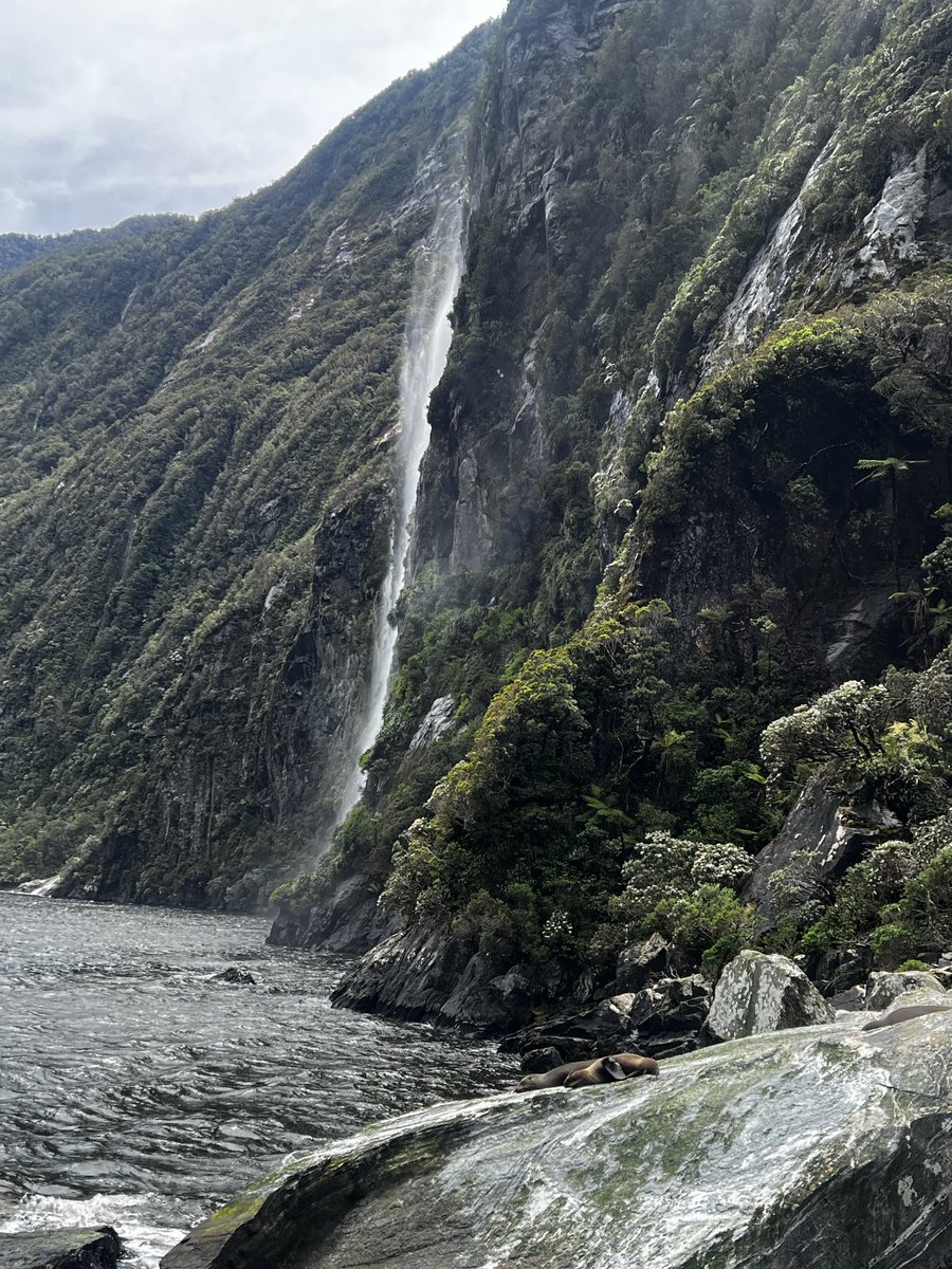 ₿IGRYAN tweet media