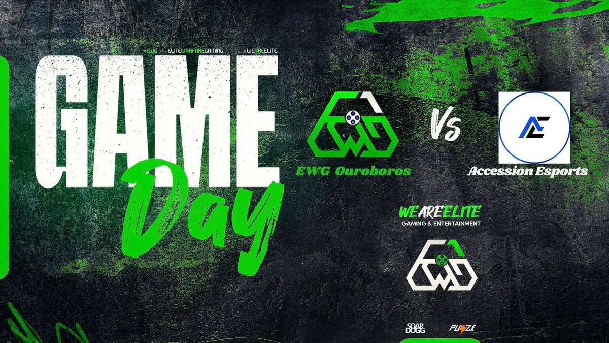 Elite Warfare Gaming tweet media