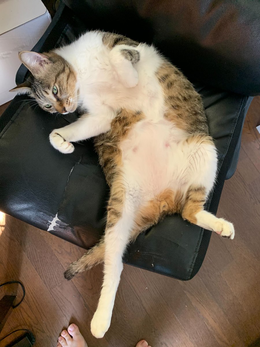 Google Japan (@googlejapan) / Posts and Replies / X