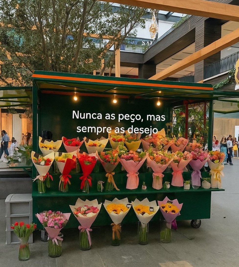 bilhetesdiarioo's tweet image. 