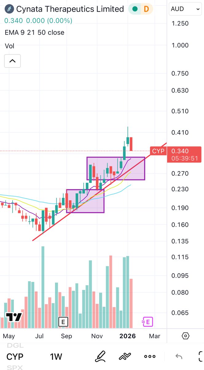 The Prophet tweet media