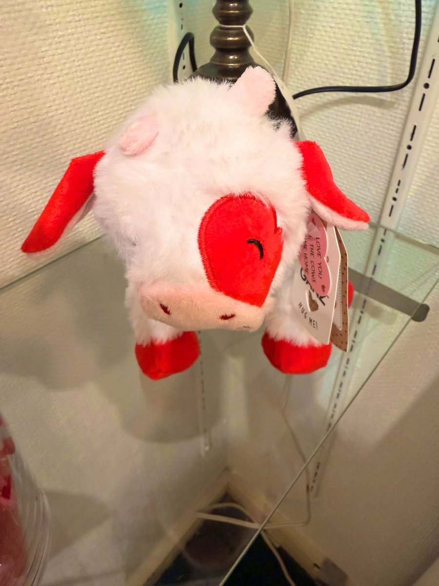 Wandered out with no real destination and stumbled into the coziest little café 🫖✨ Sipped some tea and met the cutest Valentine’s cow!🐮