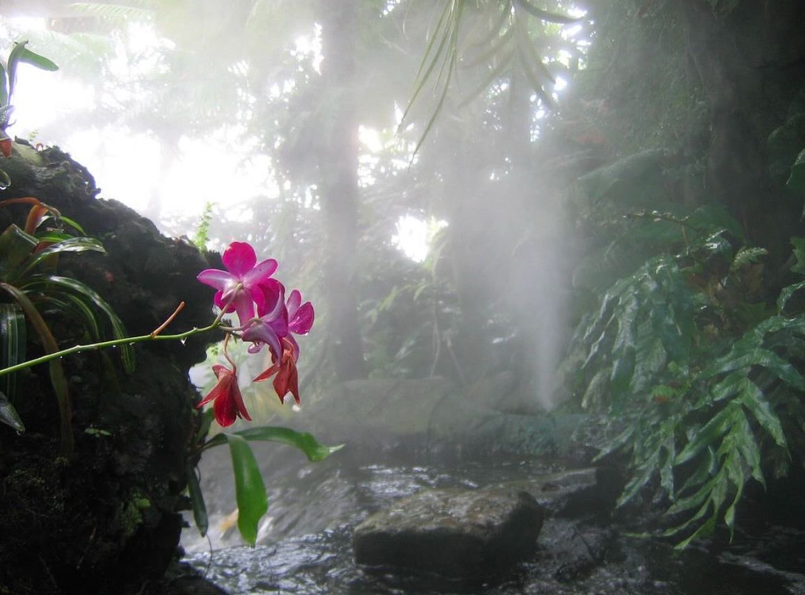 girlarmory's tweet image. This is what my frontal lobe feels like