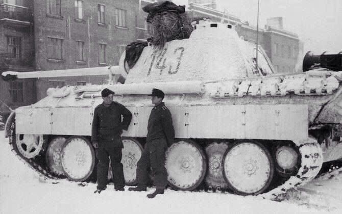 fishraperepeat's tweet image. 