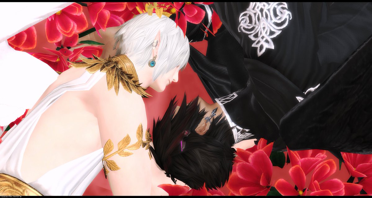 しえるおじさん❖Aegis tweet media